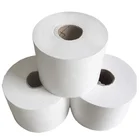 Woven Fabric 100% Polypropylene Spunbond Fabricexport Oriented Non Woven Fabric Roll