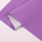 Polyester Taslan Fabric Jacquard Waterproof 100% Polyester Fabric For Ski Suits