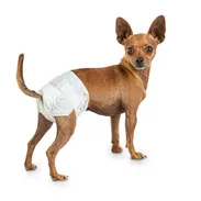 female dog pet diapers disposable 