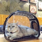 Topsale EVA foldable cat dog pet carrier bag luggage carry bag pet carrier shoulder bag soft pet accessories