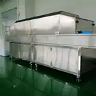 ZL Customized Length Disinfection Machine Tunnel Type UV Sterilizer