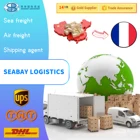 国際無料エージェント dhl 、 ups 、 tnt fedex ems エクスプレスにフランス