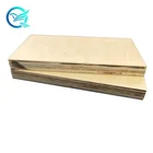 LEONKING 21mm Uv Prefinished Coated Birch Plywood Manufacturers