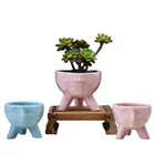 Blue Pot Supply Amazon Simple Creative Blue Succulent Flower Pot Desktop Pink Plant Cartoon Ceramic Flower Wholesale