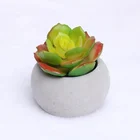 Green cheap ceramic white pot faux bonsai mini succulent plant for table decoration