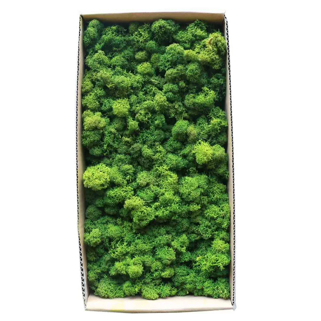 Lowest Price Artificial Living Moss Grass Wall Plants Artificial Green Walls, In Stock Preserved moss, Customized
Lowest Price Artificial Living Moss Grass Wall Plants Artificial Green Walls, In Stock Preserved moss, Customized