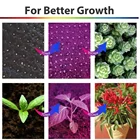 Led Led Led Grow Lights Commercial For Indoor And Outdoor Plants Cob Led Grow Light With High Quality
