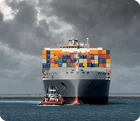 Need free shipping and sea freight services from China to New Zealand by China freight forwarder