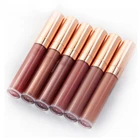 Natural Glossy Gloss Wholesale Natural Makeup Liquid Glossy Gloss Vegan Nude Private Label Lipgloss