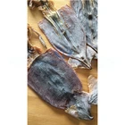 Price In Malaysia Todarode Squid Nice Price Dried Todarodes Squid Popular In Malaysia