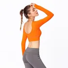 Crop Top Gym Yoga Long Sleeve T shirt Women