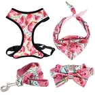 watermelon pet Dog harness with Collar BowTie for Dog Cat necklace with metal buckle for pet gifts