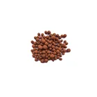 Garden Plants Garden LECA Expanded Clay For Plants Growing