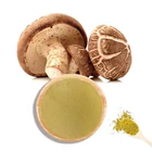 High Quality 100% Fruit Bodies Extraction Mushroom Shiitake Extract Powder