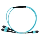 MPO 24 to MPO 12 Fiber Optic Cable OM3 24F to 12F MPO Y Cable