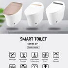 Toilet Sanitary Siphon Flushing Wares Bathroom Ceramic 1 Piece Electric Intelligent with Warm Seat Airdrying