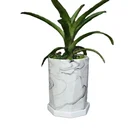 Ceramic Pot Ceramic White Decor Pot Amazon Hot Sale Home Decor White Ceramic Flower Pot