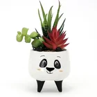 Succulent Pots New Best Selling Wholesale Animal Instagram White Ceramic Mini Succulent Plant Flower Pots Customized