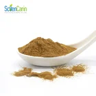 Chinese Traditional Herb Medicine Gentian Root Extract Powder