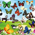 3D Jigsaw animal paper PVC puzzle 4 designs