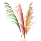 Flowers Newly Phragmites Australis Preserved Flowers Pampas Grass