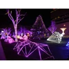 /product-detail/led-christmas-waterproof-3d-any-shape-sculpture-motif-light-62315270667.html