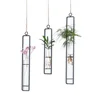 /product-detail/custom-decorative-outdoor-garden-coloured-small-metal-hydroponics-and-glass-flower-pot-60738081050.html