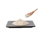 Organic Vegan Protein Powder White Rice Protein in Bulk