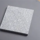 Samistone Granite Pearl Flower Granite 300x300 Tiles For Outdoor Garden Flamed&Brushed Slabs