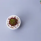 Pots HXX2001-4 Flower Pots For Succulents Planter Flower Pots And Planters Ceramic Flower Pots