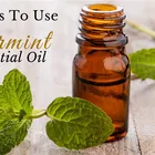 Spearmint Oil Spearmint Essential Oils Bulk Bulk Price For Extract Spearmint Oil Essential Oil