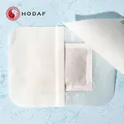 High product Free sample detox herb extract kinoki detox foot patch in other healthcare supply