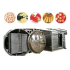 Fruit And Vegetable Freeze Drying Vacuum Dryer Machines