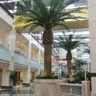 Chinese ficberglass trunk plastic palm tree artificial date palm tree for outdoor garden decoration