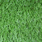 Turf 50mm Synthetic Grass Cricket Pitch Football Turf For Playground
