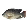 /product-detail/good-price-best-quality-whole-block-big-size-iqf-tilapia-fish-food-62341649515.html