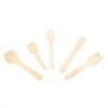 /product-detail/disposable-small-mini-birch-square-popsicle-stick-wooden-ice-cream-spoon-for-sale-62297681507.html