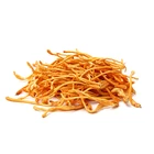 Cordyceps Militaris mushroom powder certified organic kosher check 100% pure immune support anti-fatigue