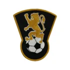 Polo Patches Patches Custom Riding Polo High Quality Environmentally Friendly Embroidered Patches Logo For Polo Shirt