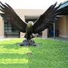 /product-detail/outdoor-large-animal-fiberglass-materials-resin-life-size-sculpture-custom-eagle-statue-62231193855.html
