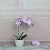 /product-detail/wholesale-wedding-decoration-artificial-flowers-faux-butterfly-orchids-phalaenopsis-orchids-ceramic-vase-62350233873.html