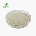 Powder Powder Irish Moss Powder Natural Hot Sale Irish Sea Moss Powder Irish Moss