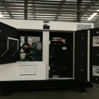 Generator Gas Generator 20kw Natural Gas Turbine Generator