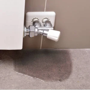 Dusun Smart Mini Wireless Zigbee Water Sensor Detector - ANKUX.COM