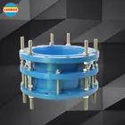 Equal Coupling Carbon Steel Flange Dismantling Joint