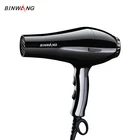 Professional Salon Hair Blow Dryer Lightweight Fast Dry Low Noise Hair Dryer with Concentrator