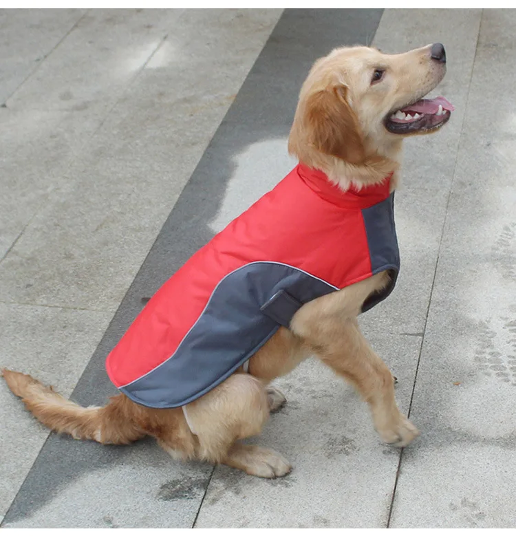 Luxury Outdoor Warm Dog Winter Jacket Soft Fleece Lined Dog Coat with leash Hole