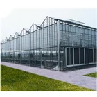 200 micron agricultural plastic houses pc sheet film greenhouse