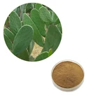 Opuntia Extract Powder Cactus Extract Cactus Extract Powder
