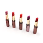 Logo Customization Matte Lipstick 2019 Hot Sale Colorful Lipstick Matte with Private Brand OEM ODM